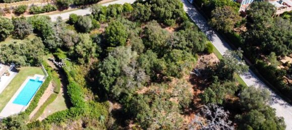 2100m² Land in Cadiz, Spain No. 72388 8