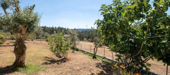 3 Schlafzimmer Haus in Penacova, Portugal, Nr. 225563 23