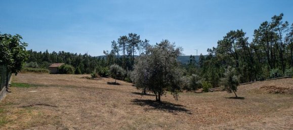 3 Schlafzimmer Haus in Penacova, Portugal, Nr. 225563 25