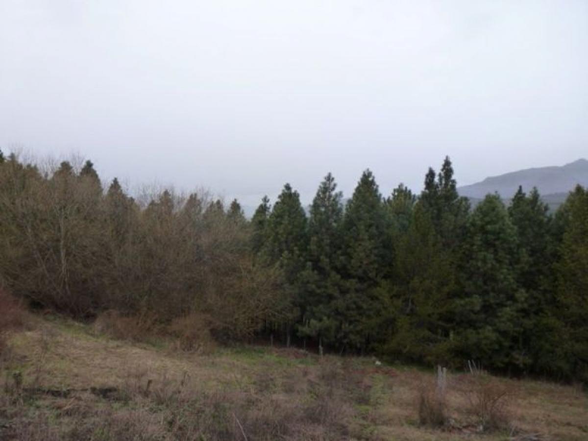 Grundstück in Neuquen, Argentina, Nr. 31907