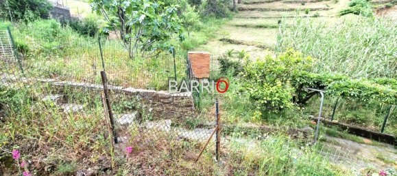 7 bedrooms House in Pyrenees-Orientales, France No. 281984 4