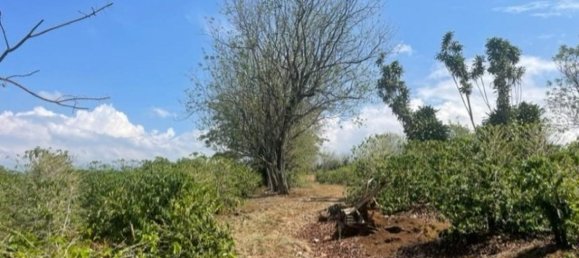 terreno en venta en Alajuela, Costa Rica № 1769 4