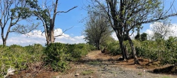 terreno en venta en Alajuela, Costa Rica № 1769 2