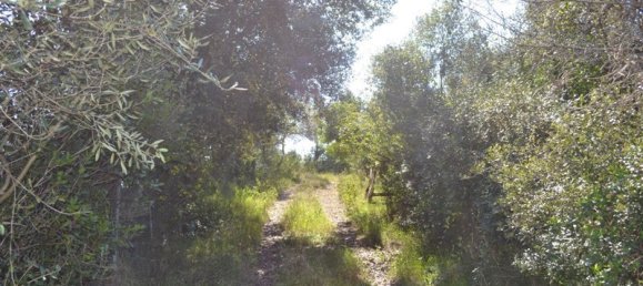 200m² Commercial property in Corfu, Greece No. 7314 6