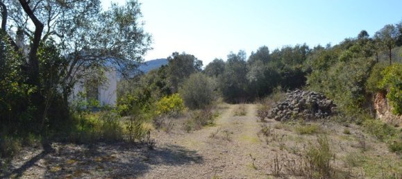  عقار تجاري في Corfu, Greece 200متر مربع رقم 7314 7