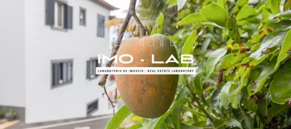 3 bedrooms Villa in Funchal, Portugal No. 133535 12