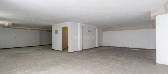 5 bedrooms House in Loures, Portugal No. 127243 4