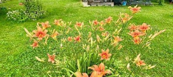 Дом с 4 спальнями в Арнольдштайн, Австрия № 197966 4