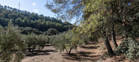 Земельный участок в Альболоте, Испания № 108049 10