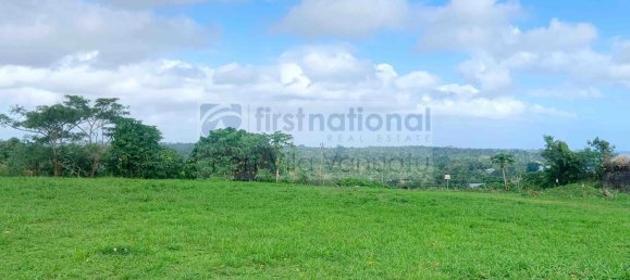 1401m² Land in Port-Vila, Vanuatu No. 72 4