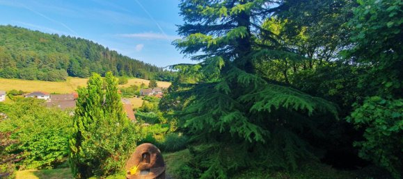 6 rooms House in Saarland, Germany No. 25399 33