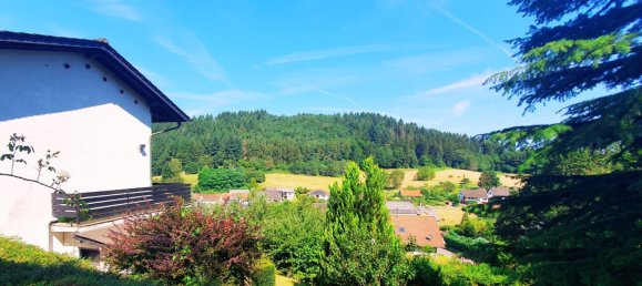 6 rooms House in Saarland, Germany No. 25399 31