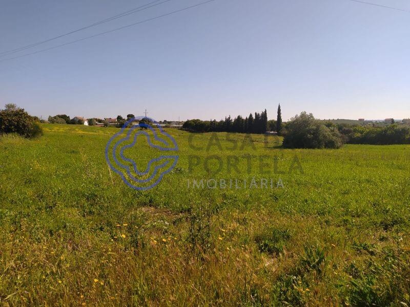 Terreno en Tomar, Portugal No. 79604