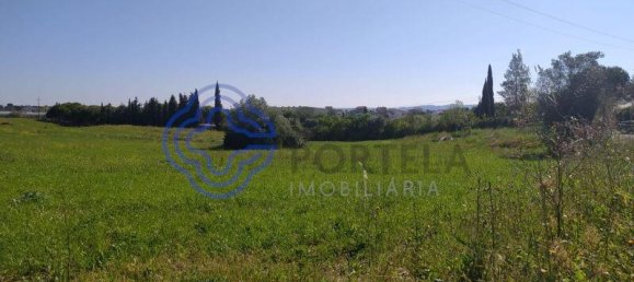 Terreno en Tomar, Portugal No. 79604 7