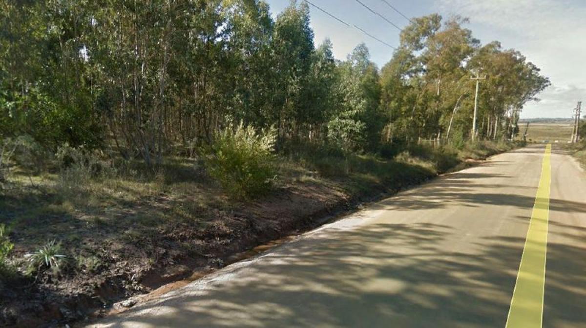  Farm in Maldonado, Uruguay No. 14635