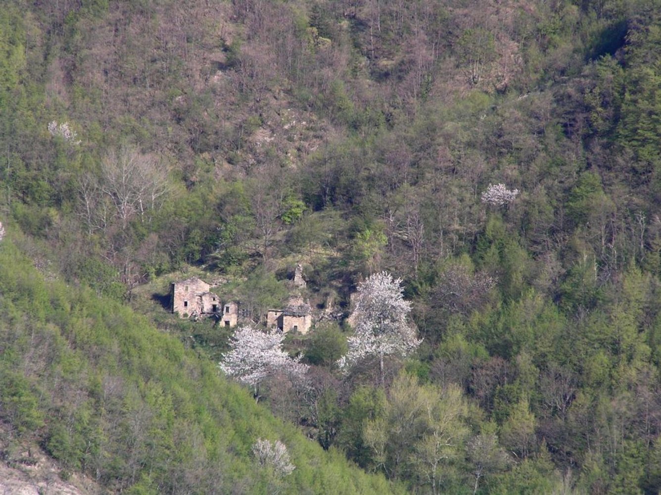 Studio in Lizzano in Belvedere, Italy No. 253941