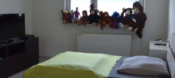 5 غرف نوم تاون هاوس في Darmstadt-Dieburg, Germany رقم 324984 19