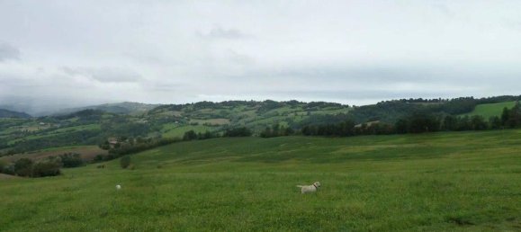 Casa de 5 divisões em Alta Val Tidone, Italy N.º 77254 10