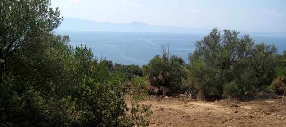 7000m² Hotel in Chalkidiki, Greece No. 7790 2