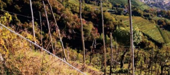 8327m² Land in Farra di Soligo, Italy No. 286303 7