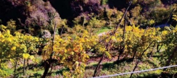 8327m² Land in Farra di Soligo, Italy No. 286303 8