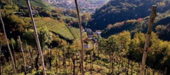 8327m² Land in Farra di Soligo, Italy No. 286303 2