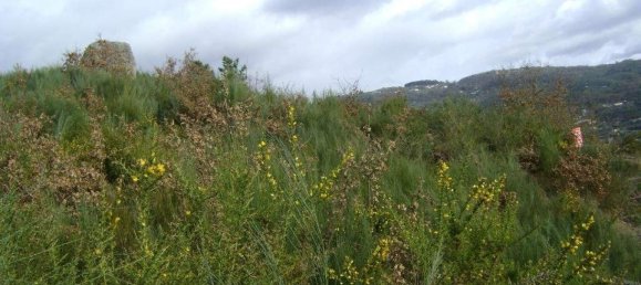 Terreno em Marco de Canaveses, Portugal N.º 56166 5
