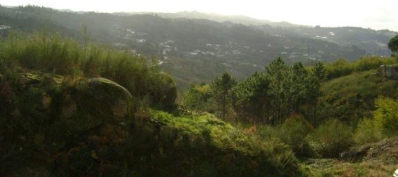 Terreno em Marco de Canaveses, Portugal N.º 56166 2