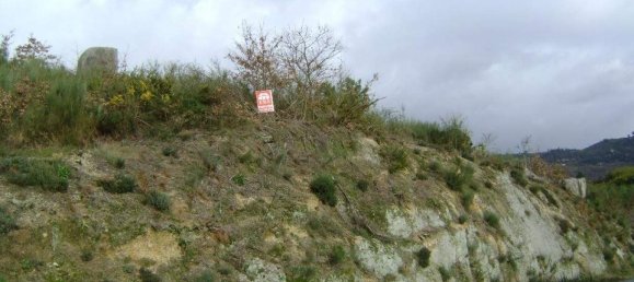 Terreno em Marco de Canaveses, Portugal N.º 56166 6