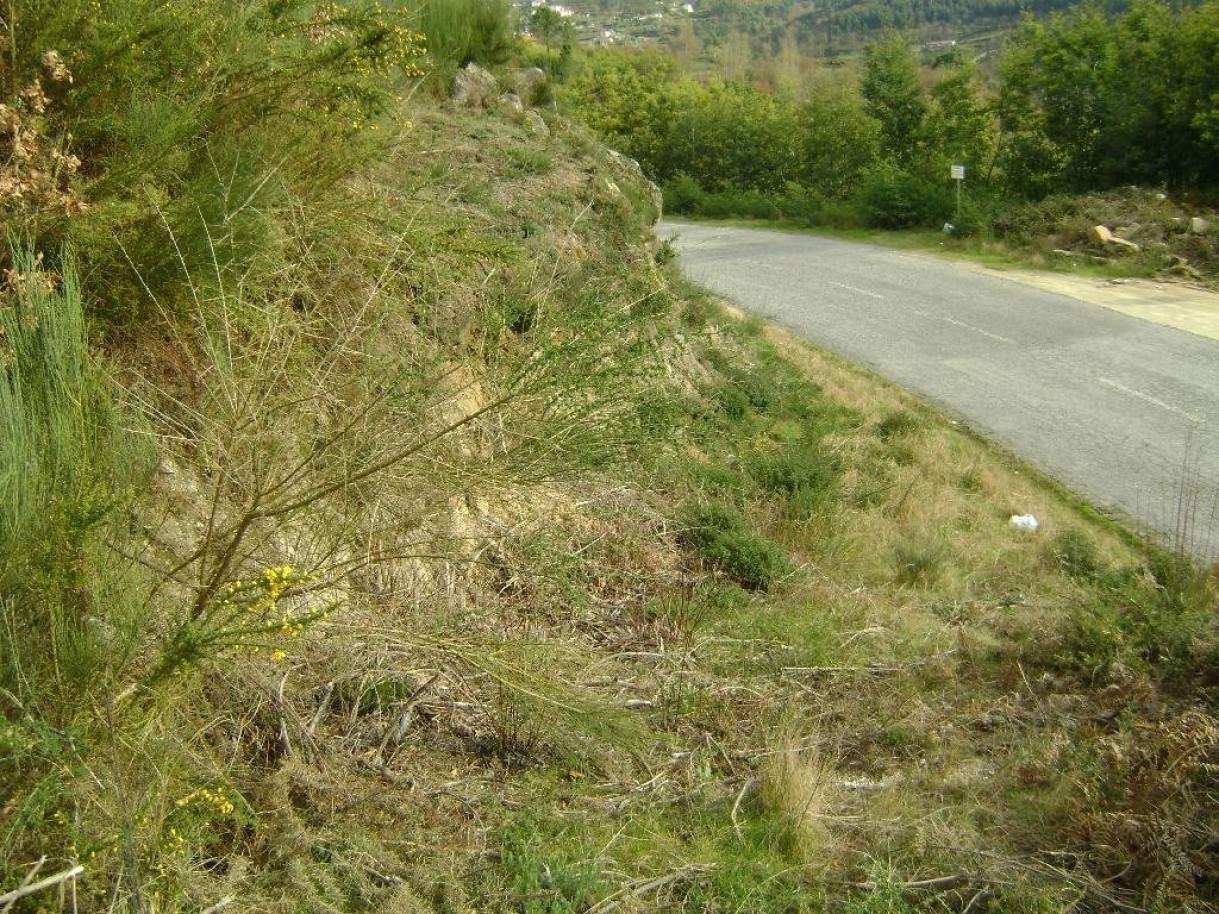 Terreno em Marco de Canaveses, Portugal N.º 56166