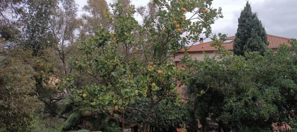 6 rooms Apartment in Sanremo, Italy No. 234368 9