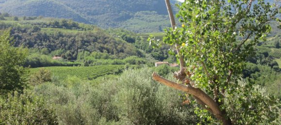 5غرفة منزل في Cinto Euganeo, Italy رقم 255795 6