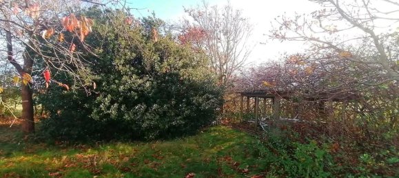 5 bedrooms House in Ludwigslust-Parchim, Germany No. 361726 8