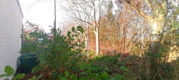 5 bedrooms House in Ludwigslust-Parchim, Germany No. 361726 11