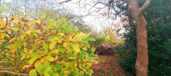 5 bedrooms House in Ludwigslust-Parchim, Germany No. 361726 10