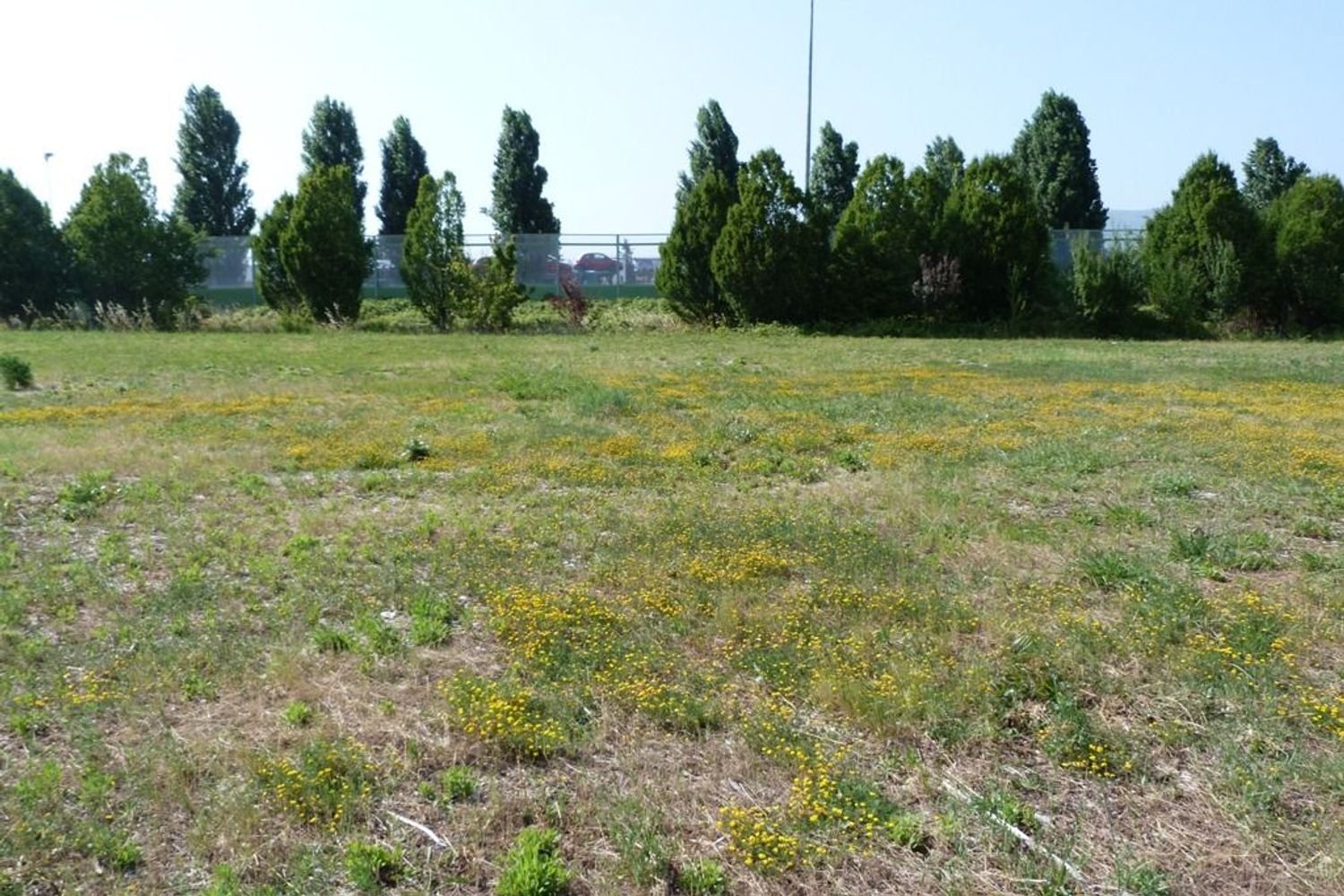 Grundstück in Campi Bisenzio, Italy 4770m², Nr. 81904