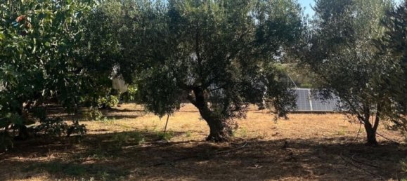 Casa de 3 dormitorios en Vejer de la Frontera, Spain No. 183494 23