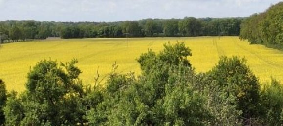 9-Zimmer Haus in Ludwigslust-Parchim, Germany, Nr. 128451 12