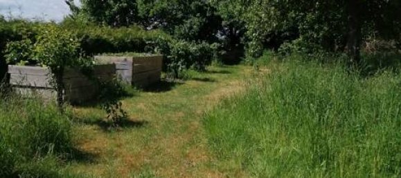 9-Zimmer Haus in Ludwigslust-Parchim, Germany, Nr. 128451 9