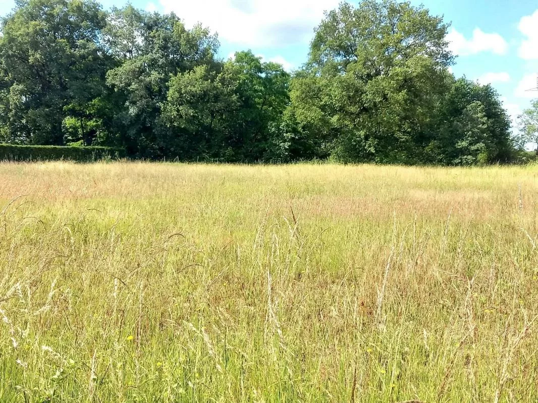 Terrain à Semblançay, France 1486m² No. 95255