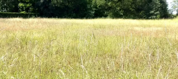 Terrain à Semblançay, France 1486m² No. 95255 2