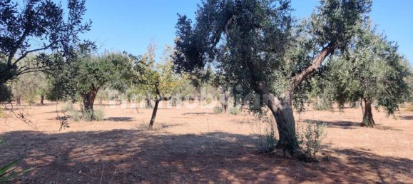 Земельный участок 13000м² в Мандурия, Италия № 302198 2