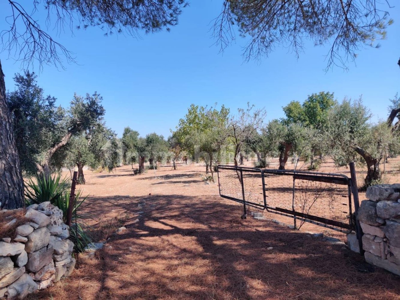 Земельный участок 13000м² в Мандурия, Италия № 302198