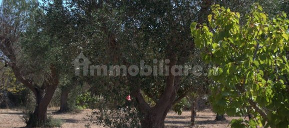 Земельный участок 13000м² в Мандурия, Италия № 302198 4