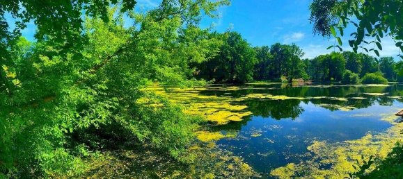 6-Zimmer Doppelhaus in Grunewald, Germany, Nr. 113527 6