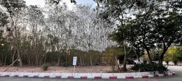 3200m² Commercial property in Pattaya, Thailand No. 5398 7