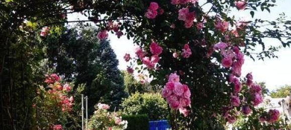 Дом с 3 спальнями в Терниц, Австрия № 142300 17