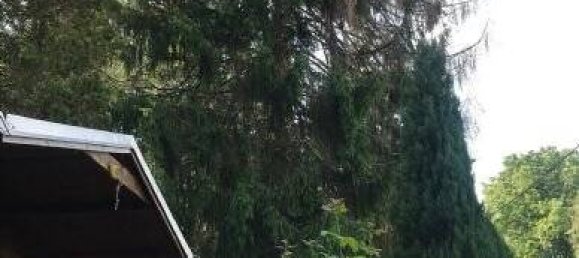 Grundstück in Vogtlandkreis, Germany, Nr. 22198 9