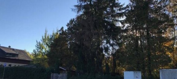 Grundstück in Vogtlandkreis, Germany, Nr. 22198 12