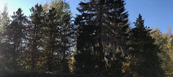 Grundstück in Vogtlandkreis, Germany, Nr. 22198 13